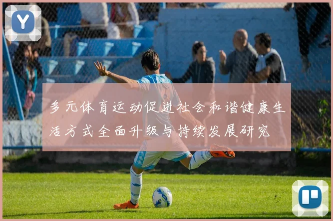 多元体育运动促进社会和谐健康生活方式全面升级与持续发展研究