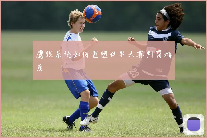 鹰眼系统如何重塑世界大赛判罚精度