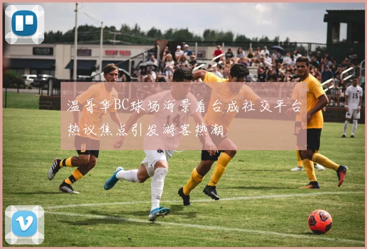 温哥华BC球场海景看台成社交平台热议焦点引发游客热潮