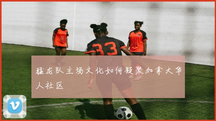 猛龙队主场文化如何凝聚加拿大华人社区