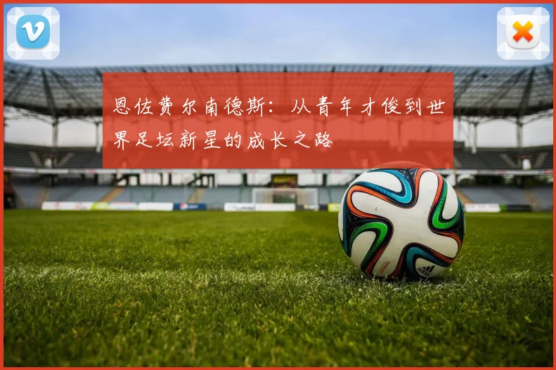 恩佐费尔南德斯：从青年才俊到世界足坛新星的成长之路