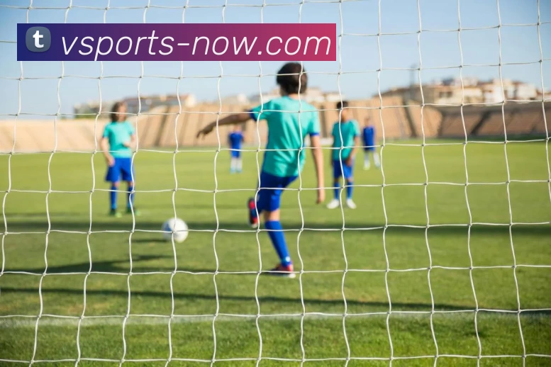 v体育官网APP 封面图